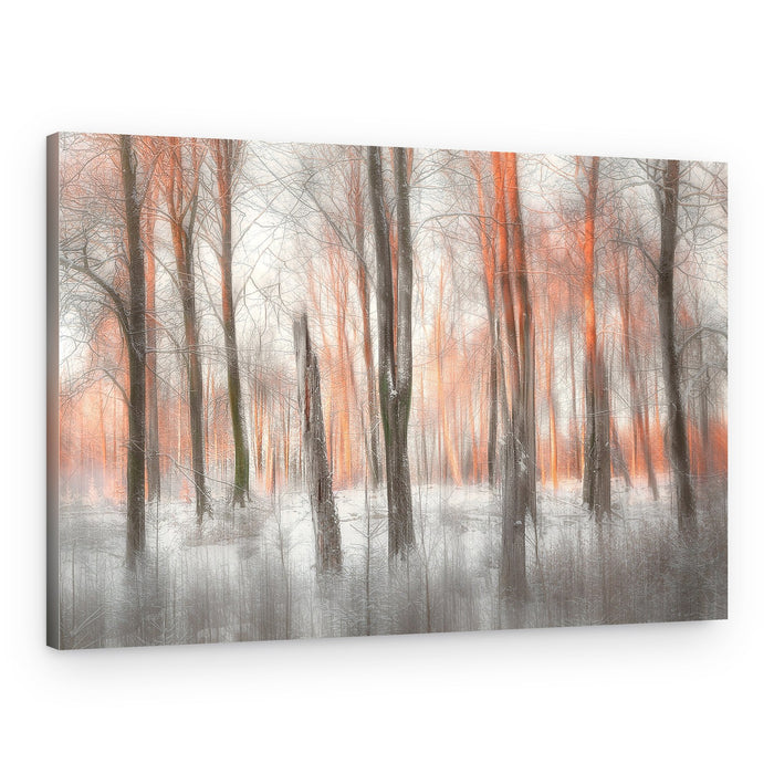 Orange Forest Glow – Canvas Print