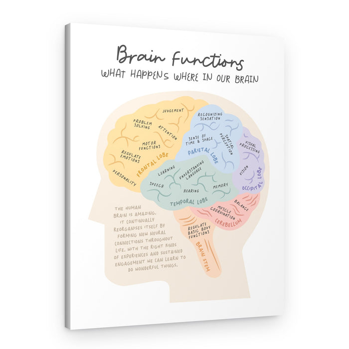 Understanding Brain Functions – Canvas Print