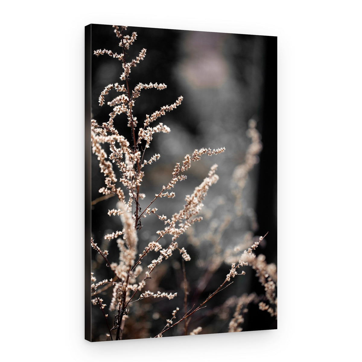 Unknown 9 – Canvas Print