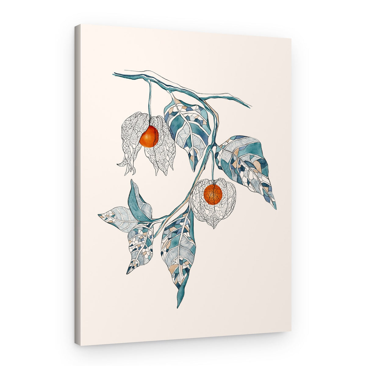 Stylized Physalis Branch – Canvas Print