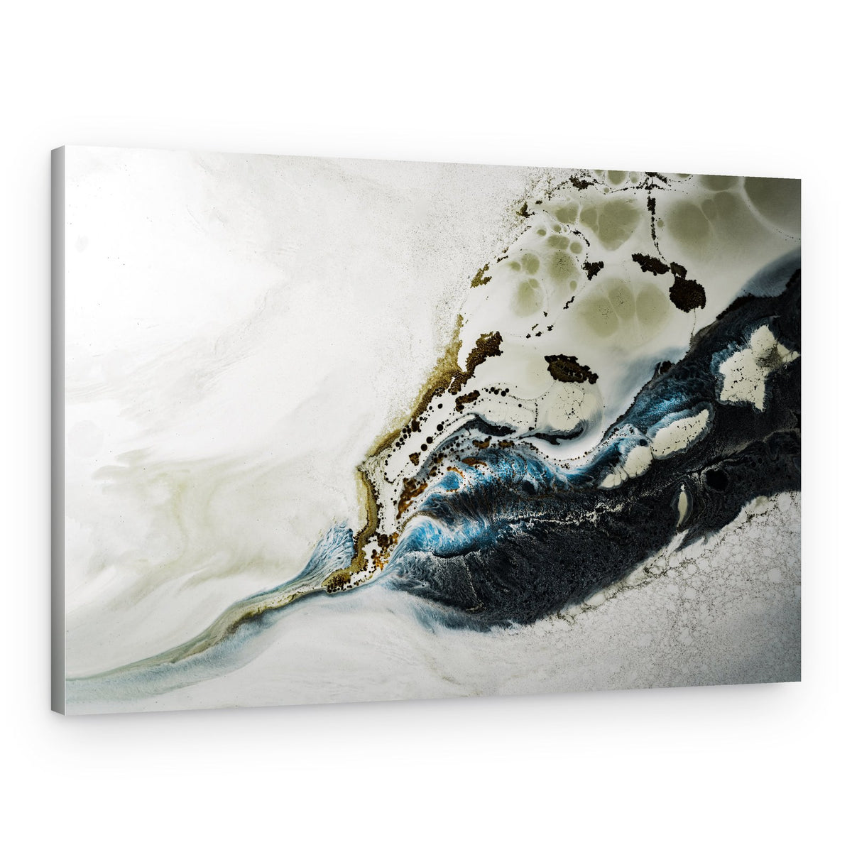 Contemporary Art - Intrigue – Canvas Print