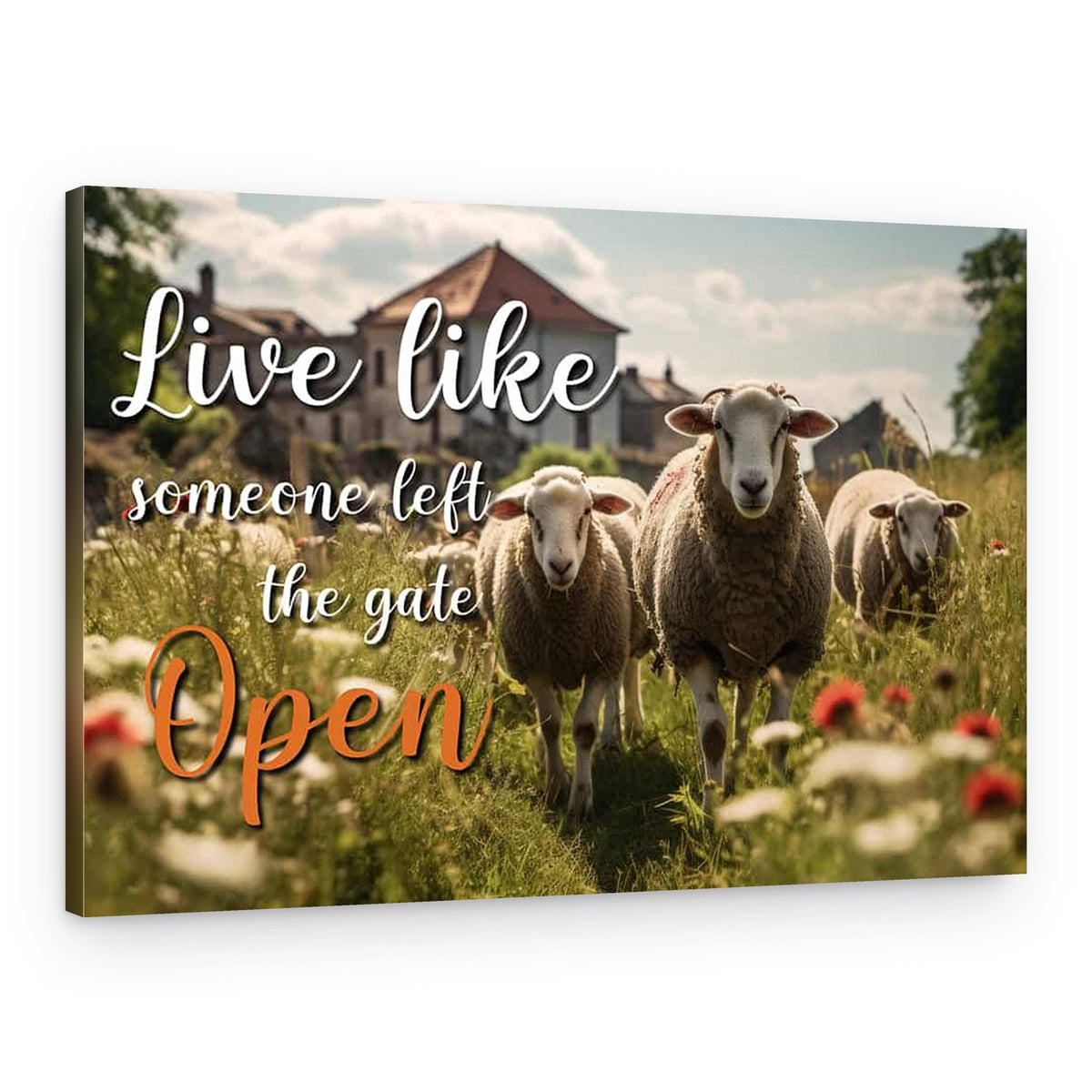 Live Like Someone Left The Gate Open Sheep Canvas Print – Canvas Print