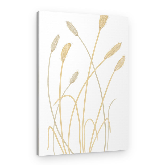 Neutral Pampas Grass – Canvas Print