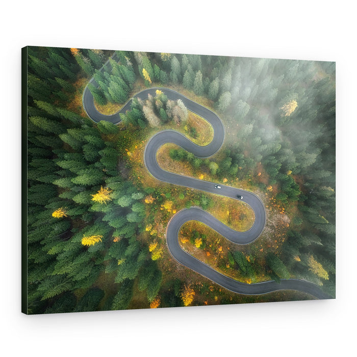 Winding Autumn Road – Canvas Print