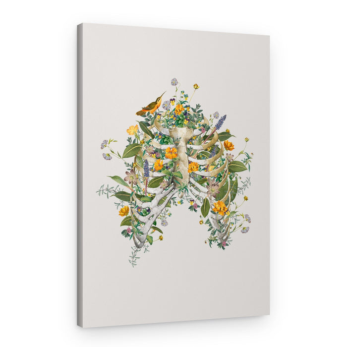 Botanical Rib Cage – Canvas Print