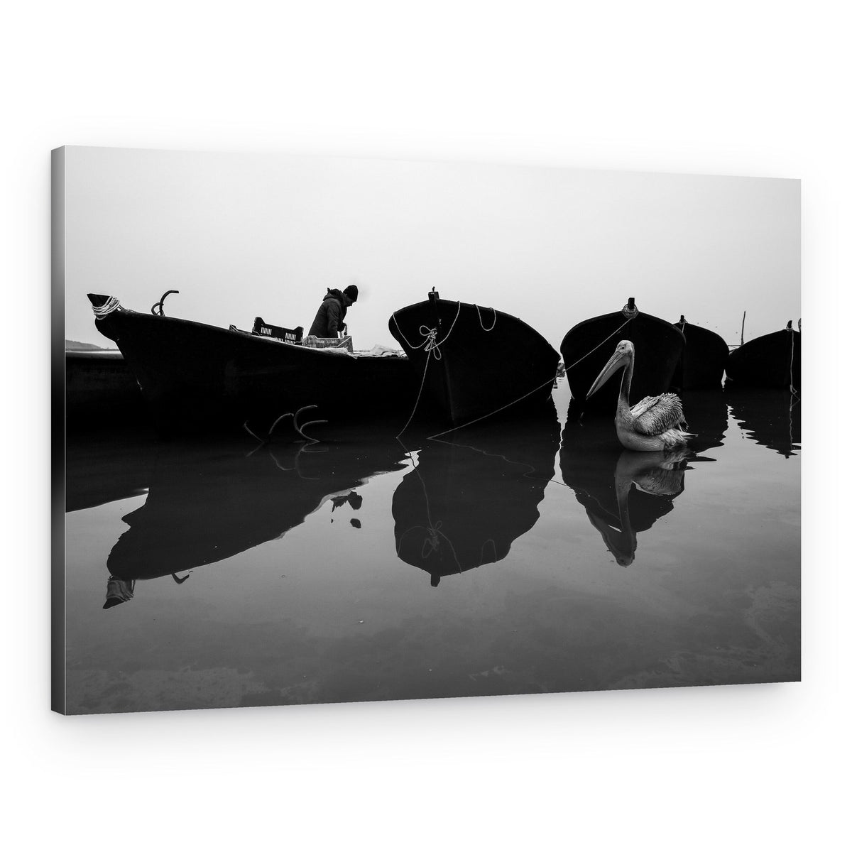 Pelican Among Fishing Boats – Canvas Print