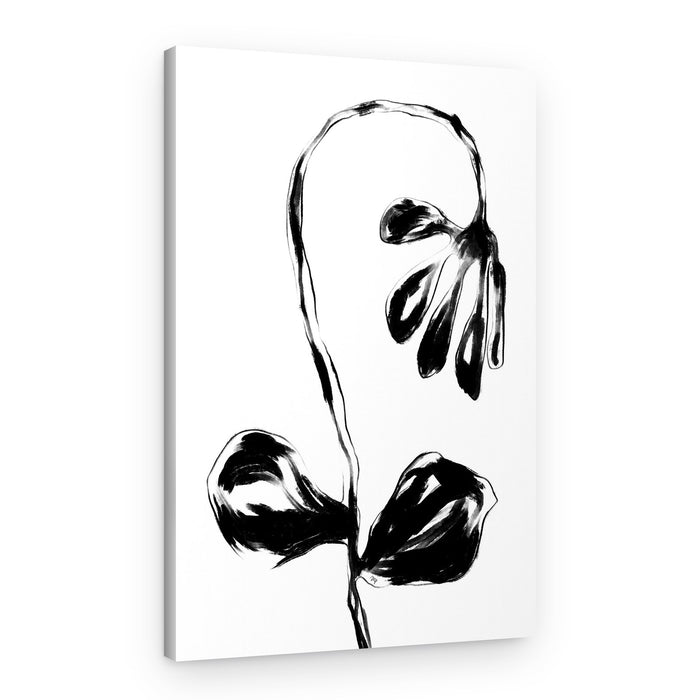 Curved Ink Flora – Canvas Print