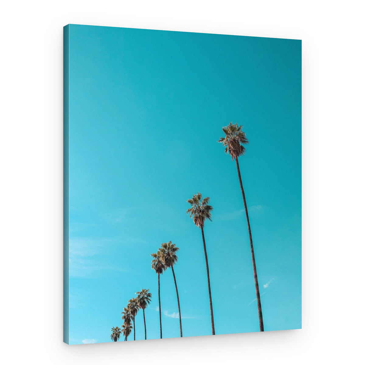 Skydusters – Canvas Print