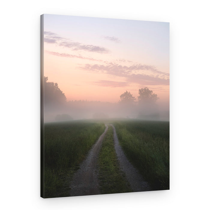 Misty Morning Path – Canvas Print