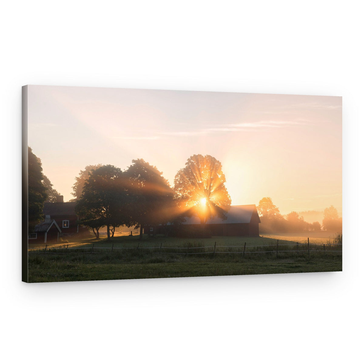Golden Farm Sunrise – Canvas Print