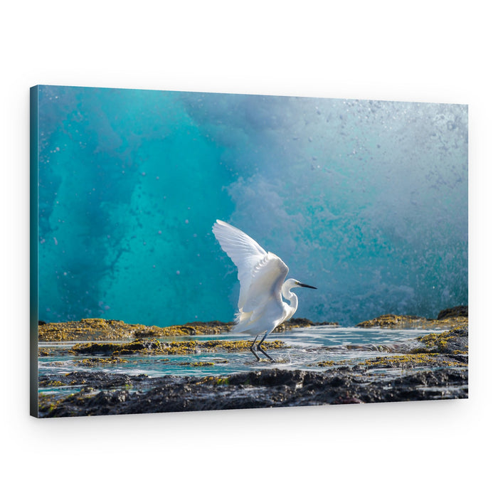 Coastal Egret Breaking Wave – Canvas Print