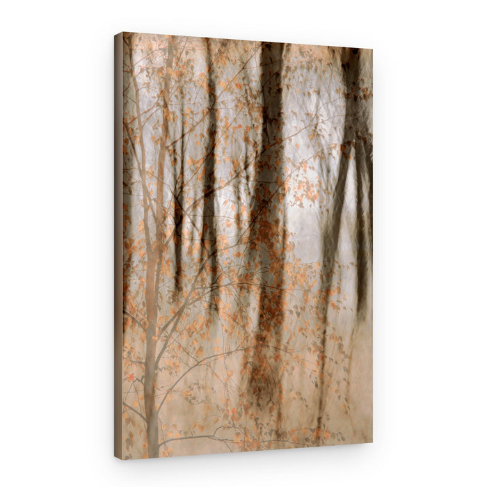 Soft Autumn Woods – Canvas Print