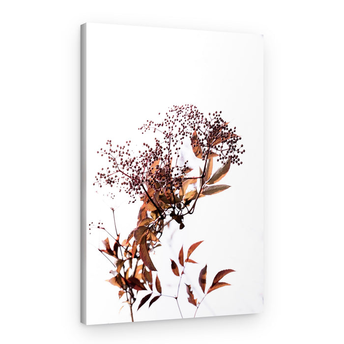 Unknown 14 – Canvas Print