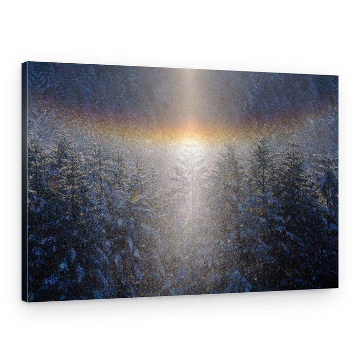 Winter Forest Sun Halo – Canvas Print