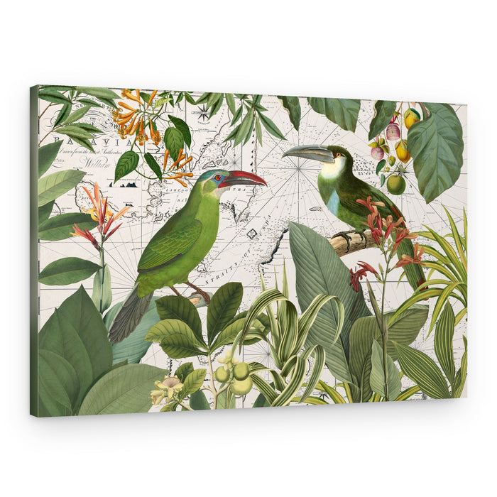 Tropical Birds Vintage Map – Canvas Print