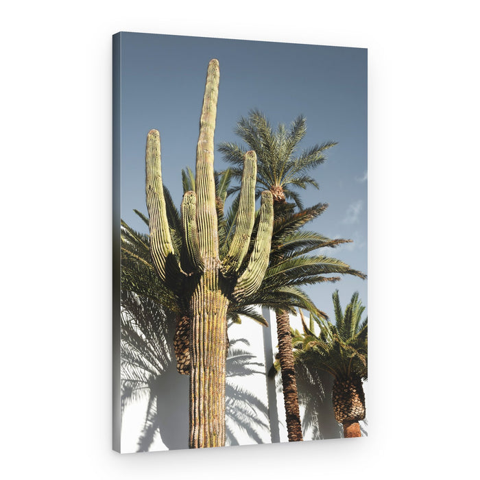 Desert Saguaro Palm Sky – Canvas Print