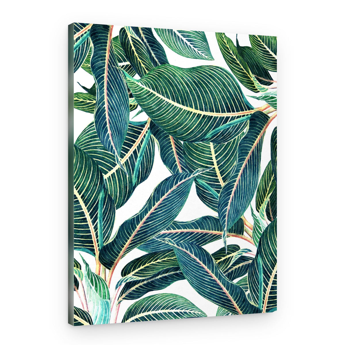 Edge and Dance Botanical – Canvas Print