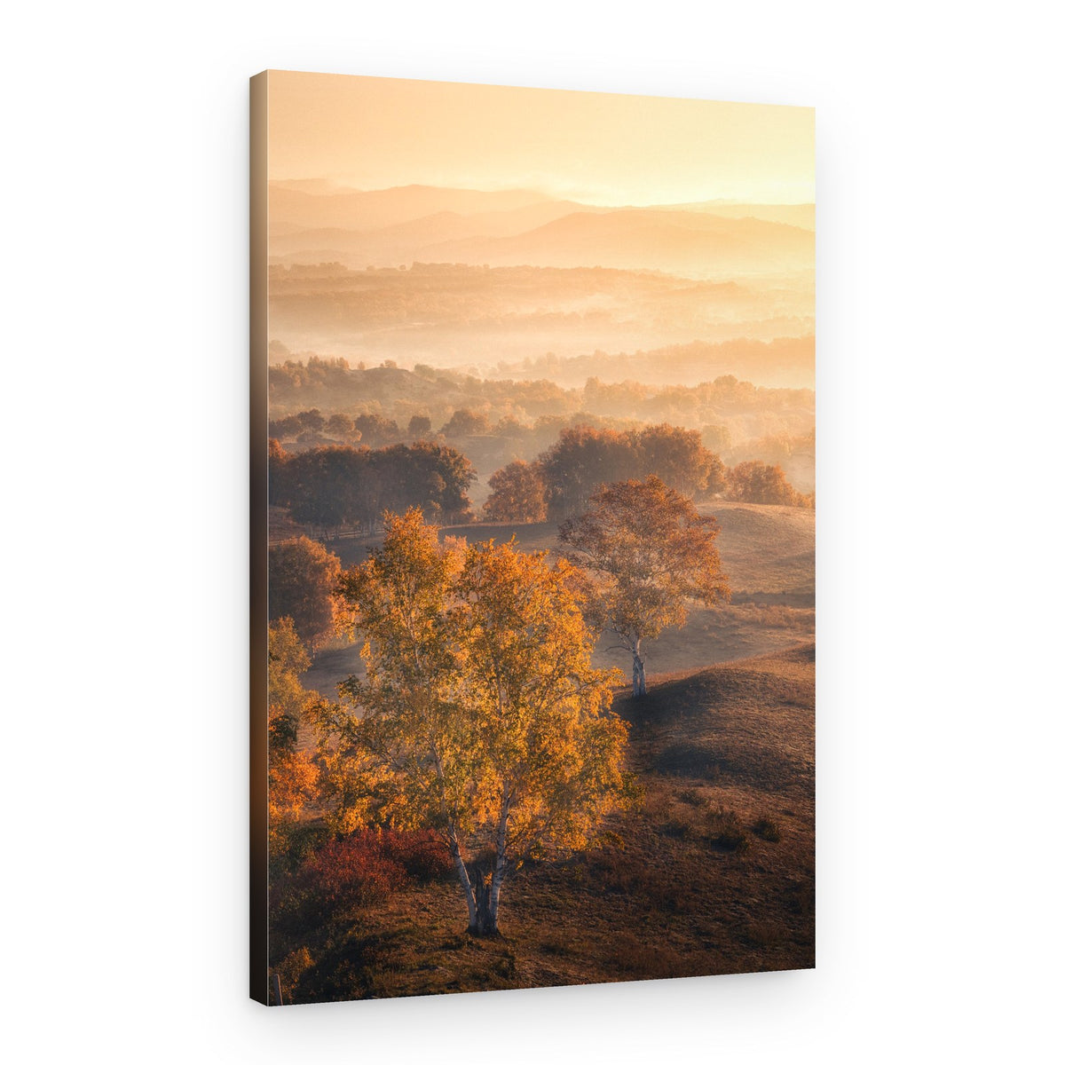 Golden Autumn Mist – Canvas Print
