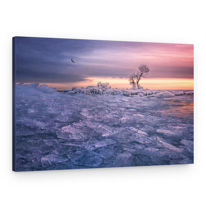 Frozen Lake Dawn Sky – Canvas Print