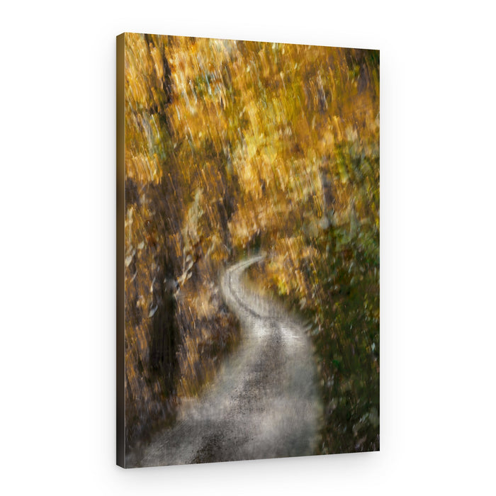 Winding Autumn Path – Canvas Print