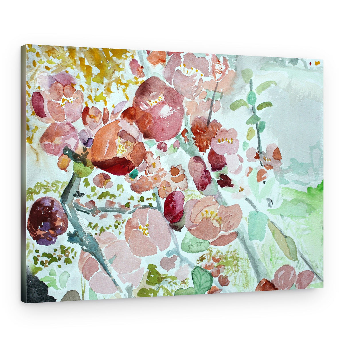 Pink Spring Blossoms – Canvas Print