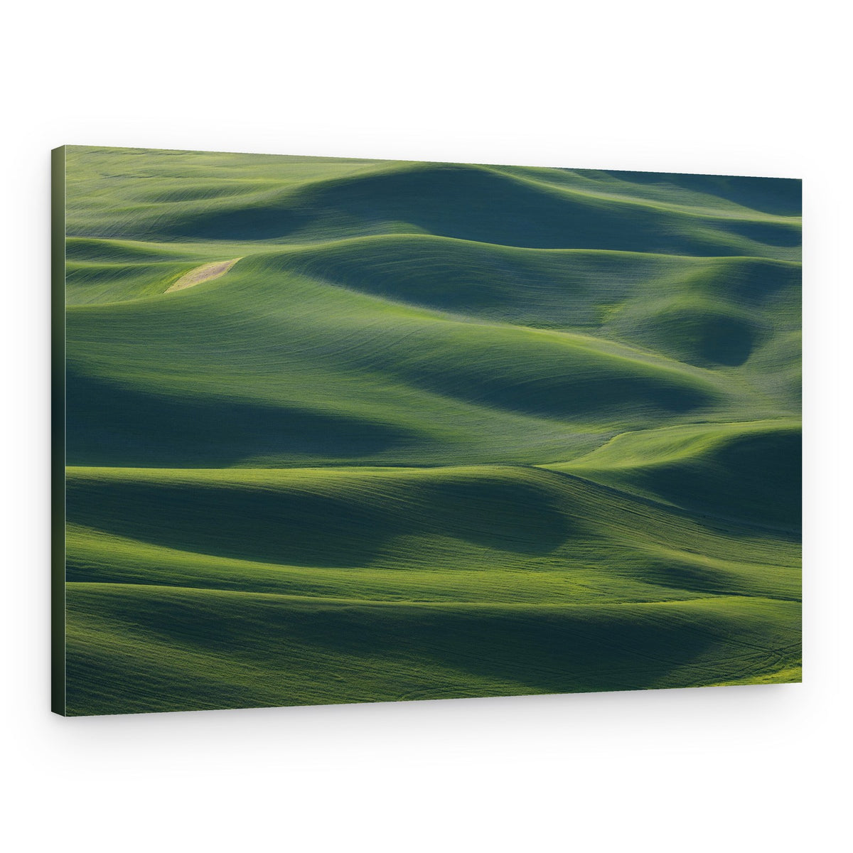 Emerald Field Waves – Canvas Print