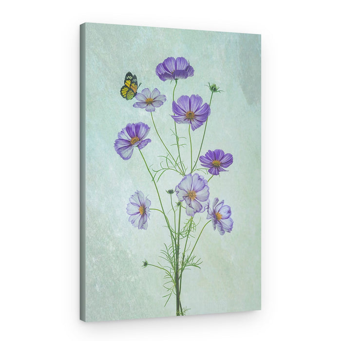 Purple Cosmos Butterfly – Canvas Print