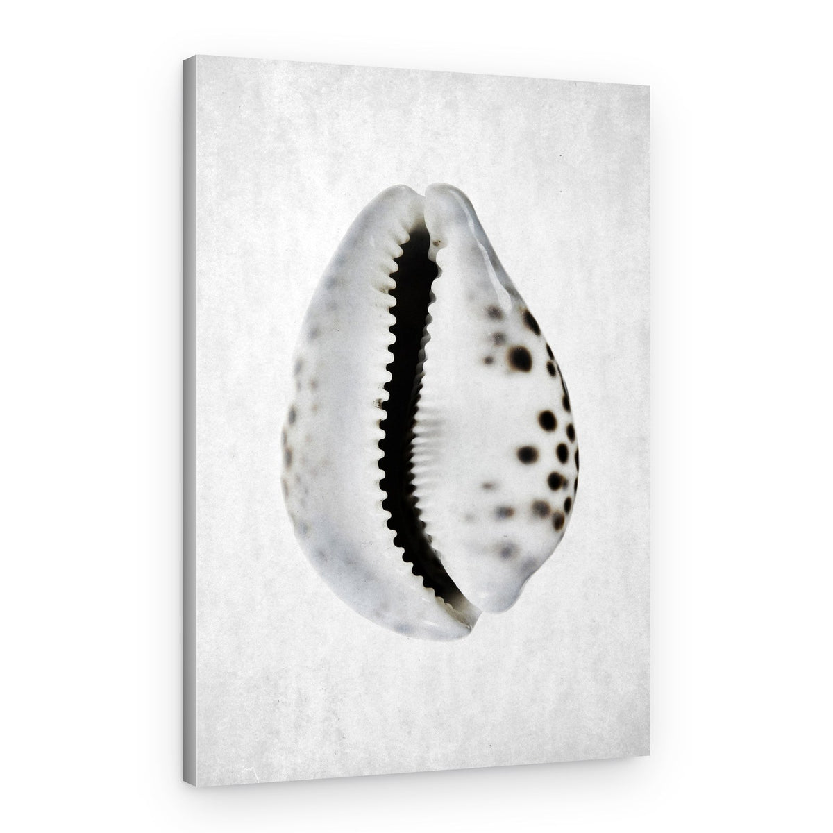 Spring Tide – Canvas Print