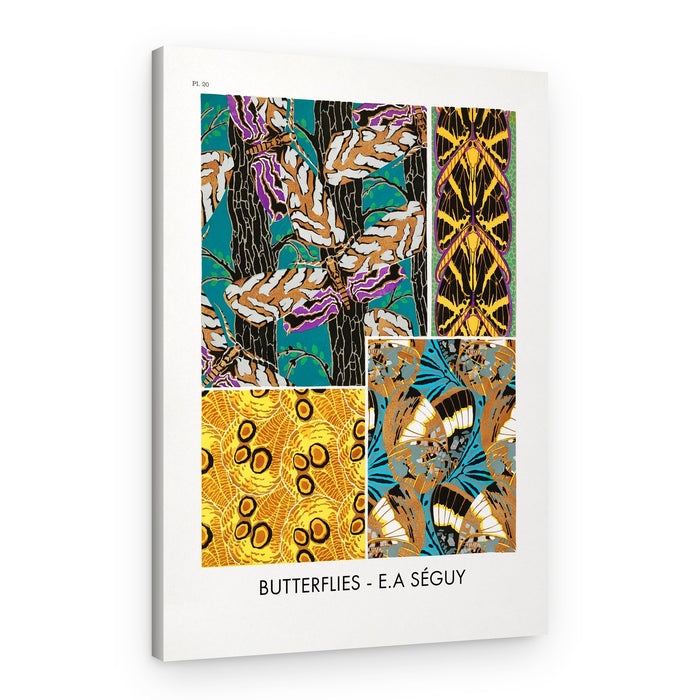 Butterflies 20 – Canvas Print