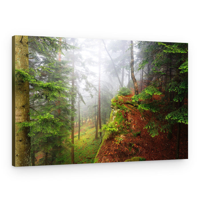 Misty Forest Landscape – Canvas Print
