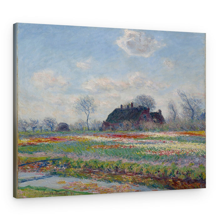 Claude Monet's Tulip Fields At Sassenheim, (1886) – Canvas Print
