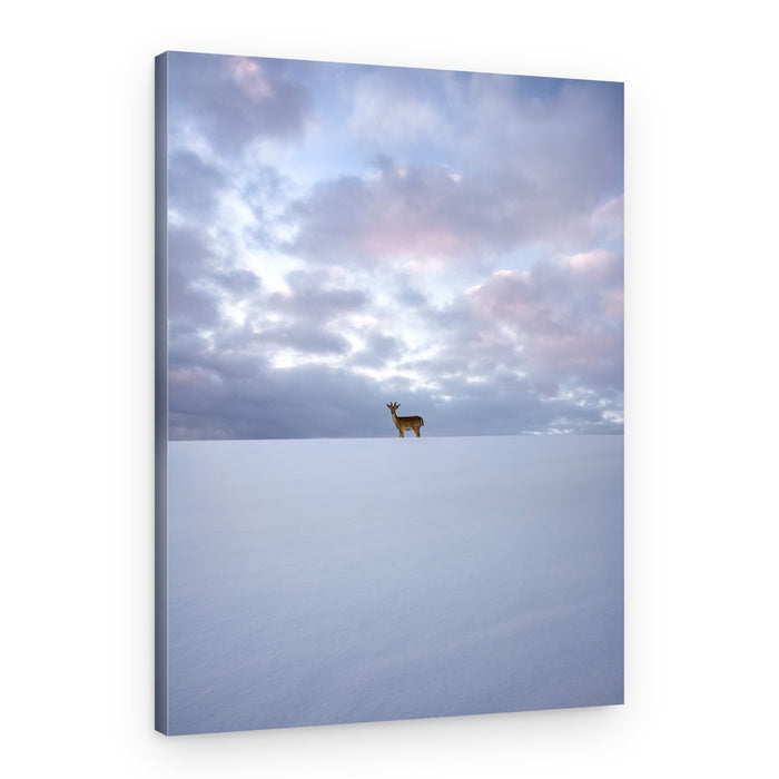 Winter Deer Horizon – Canvas Print