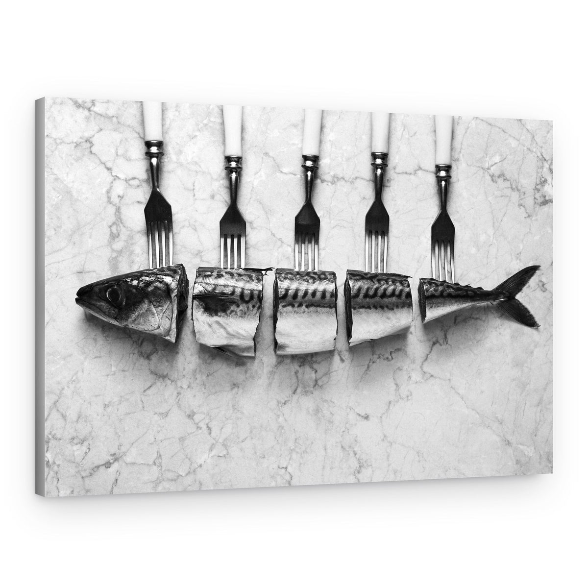 Fresh Mackerel Still Life – Canvas Print