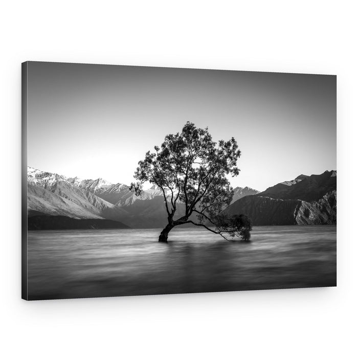 Iconic Wanaka Tree – Canvas Print