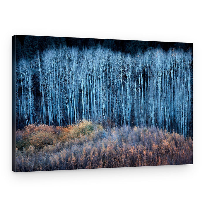 Blue Trees Golden Brush – Canvas Print