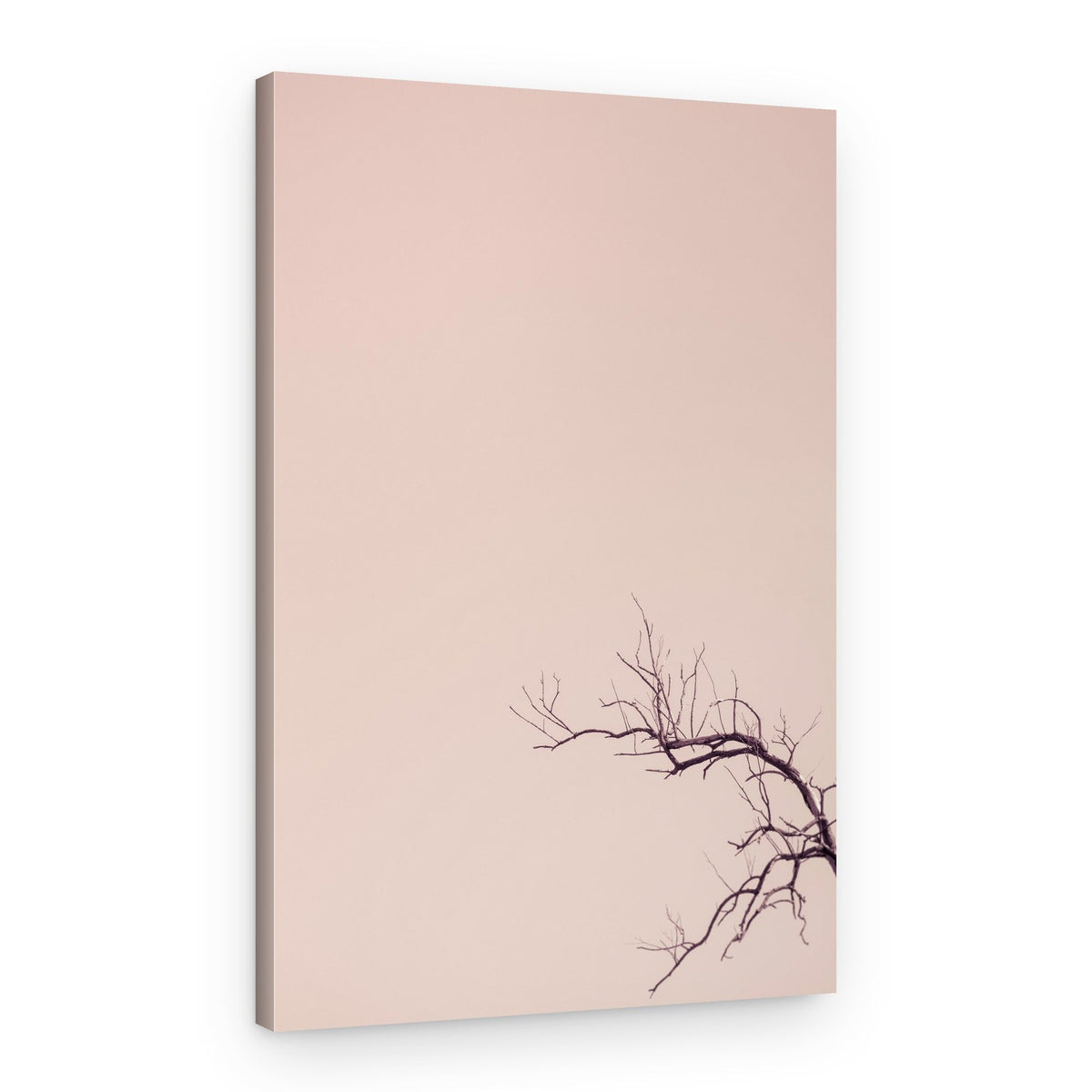 Delicate Branches Pink Sky – Canvas Print