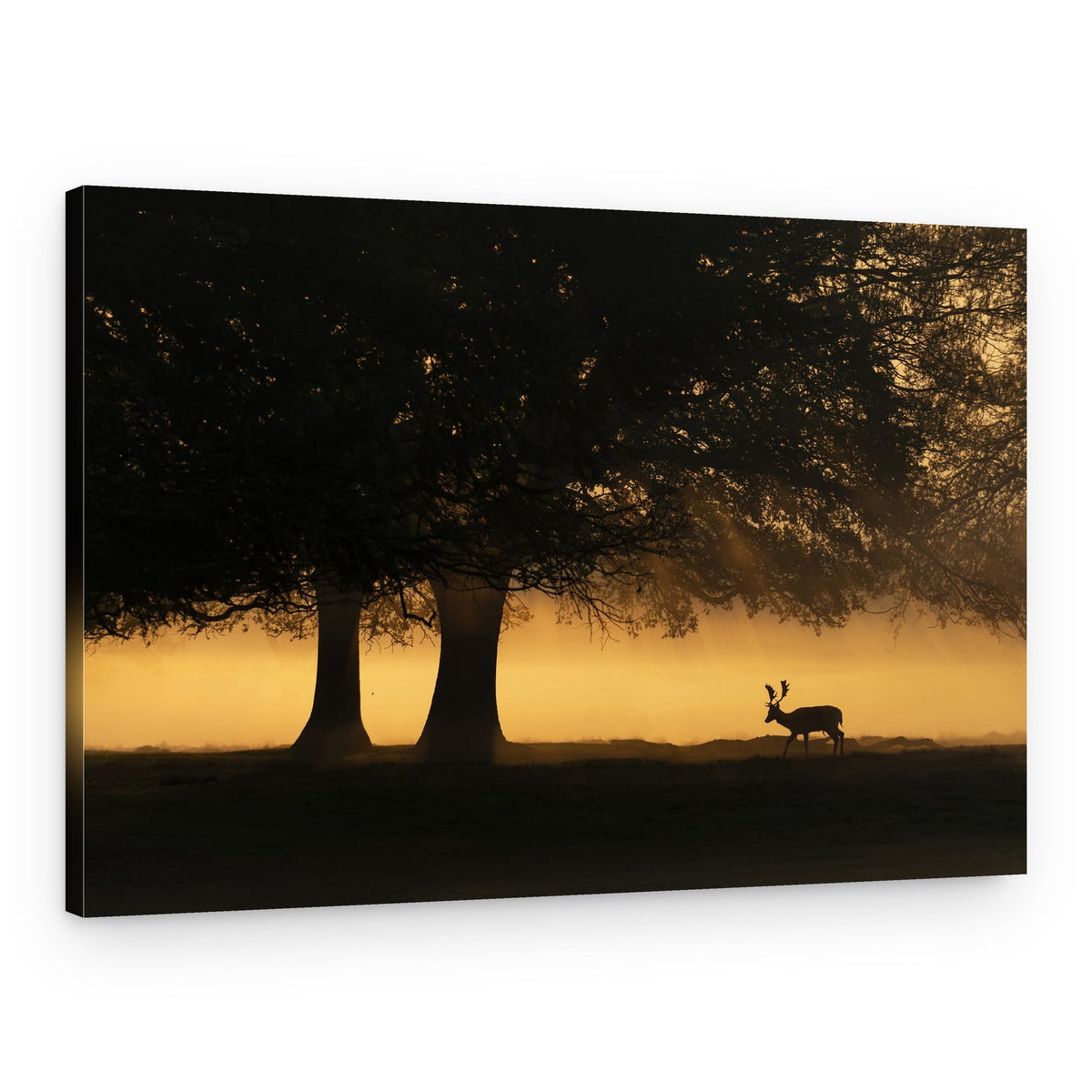 Golden Dawn Deer – Canvas Print