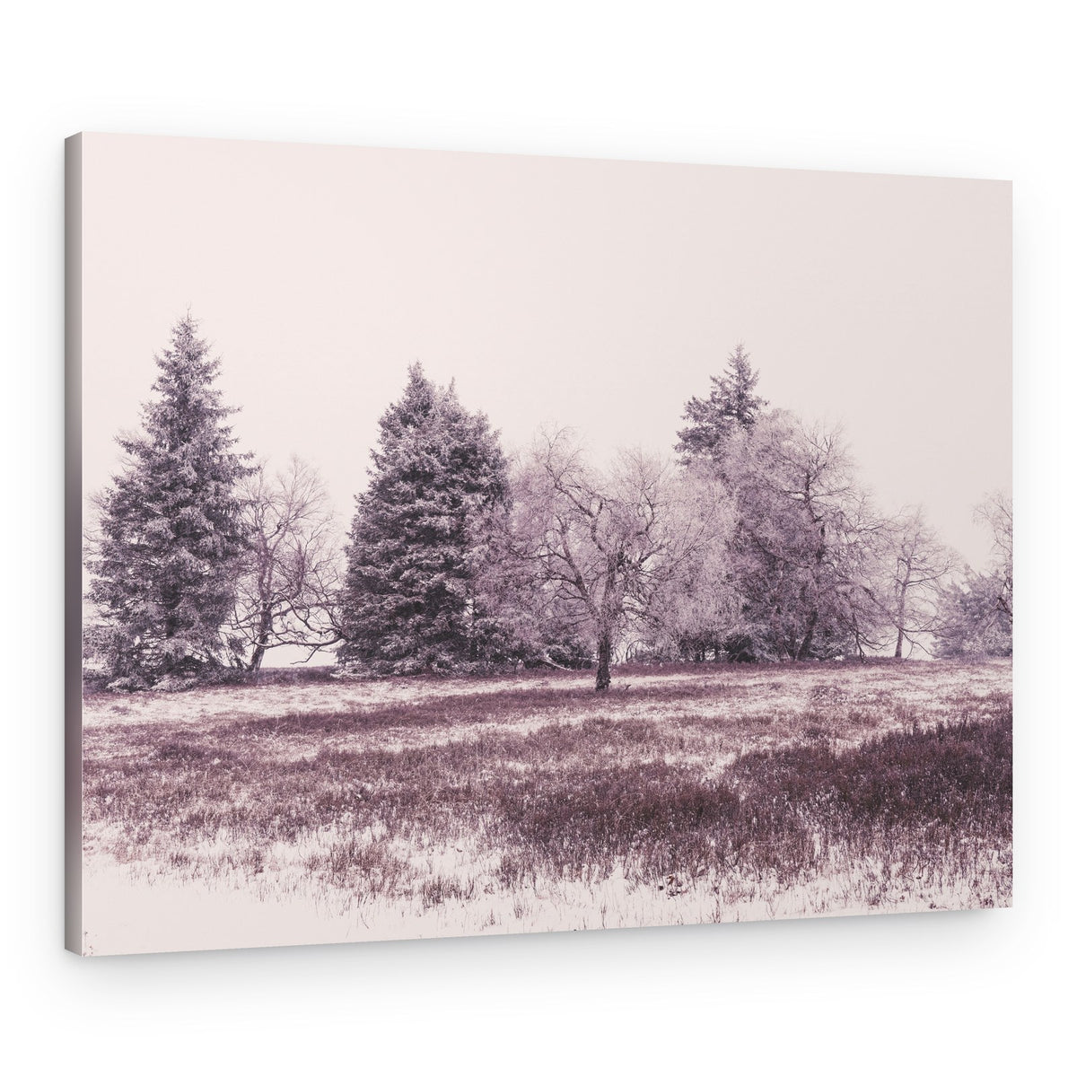 Frosted Winter Landscape – Canvas Print