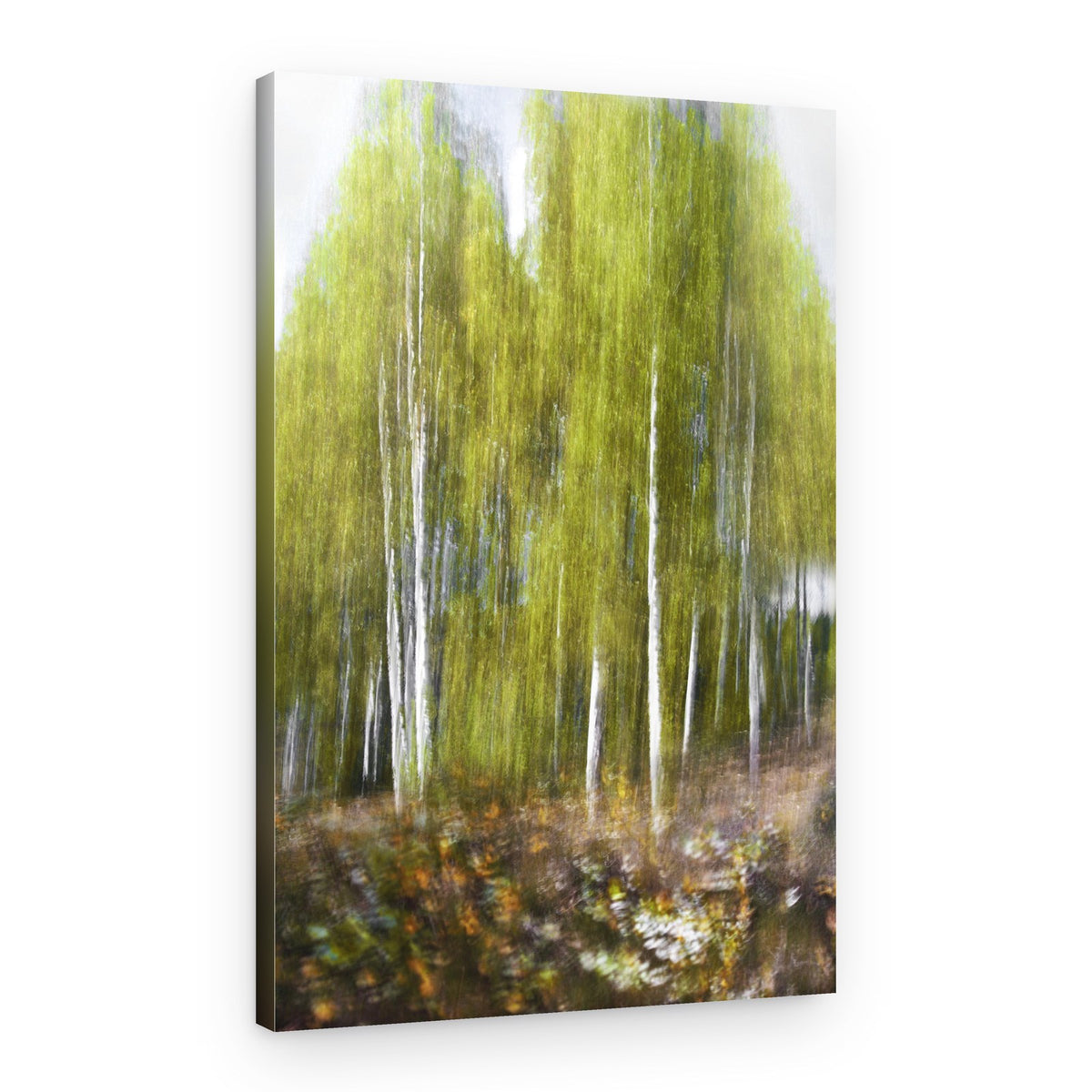 Green Birch Forest Abstract – Canvas Print