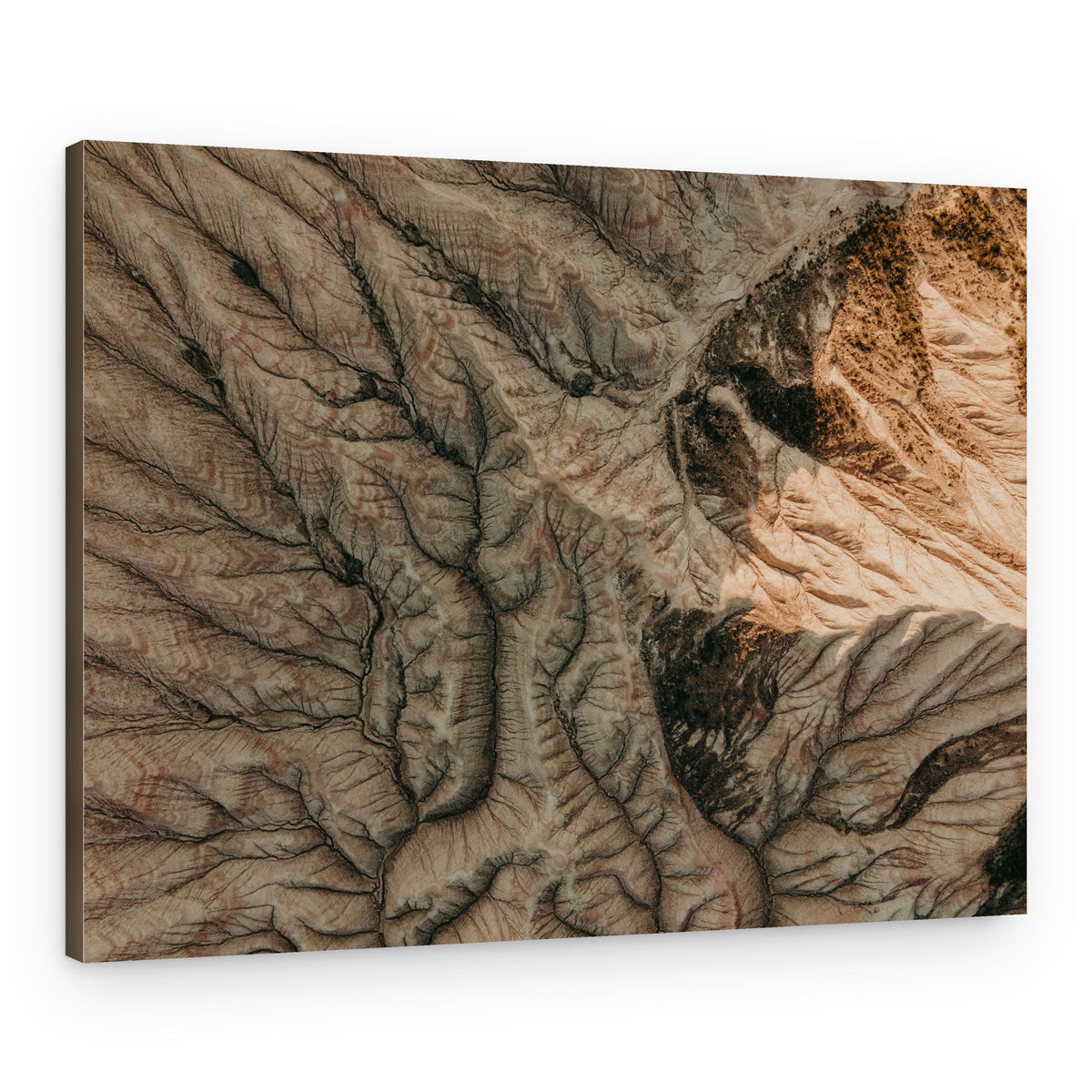 Arid Earth Patterns – Canvas Print
