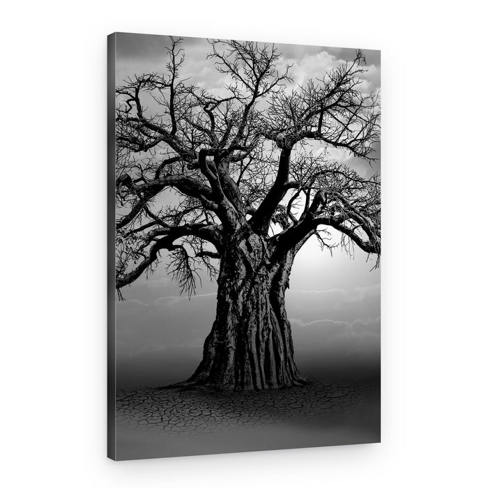 Ancient Baobab Tree – Canvas Print