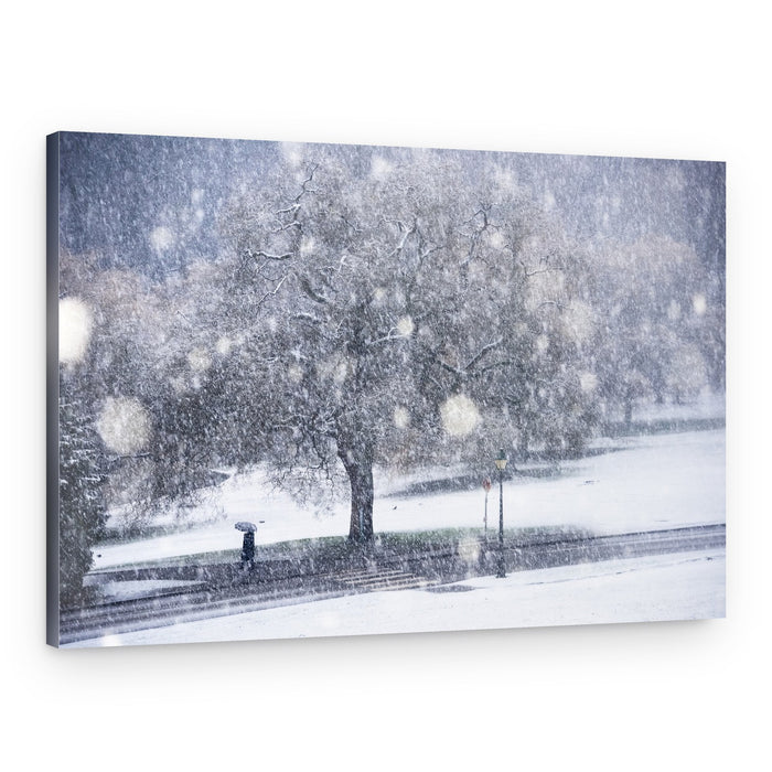 Serene Winter Snowfall – Canvas Print
