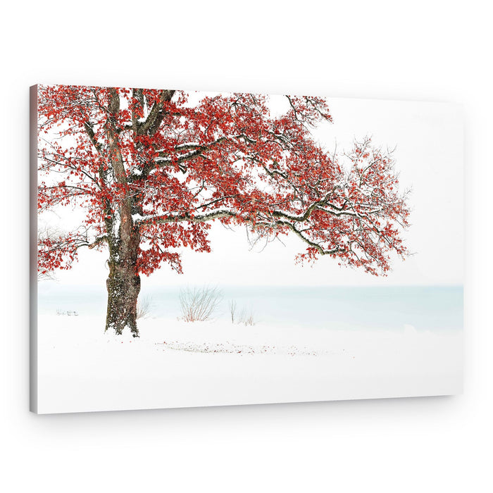 Red Tree Snowy Lake – Canvas Print