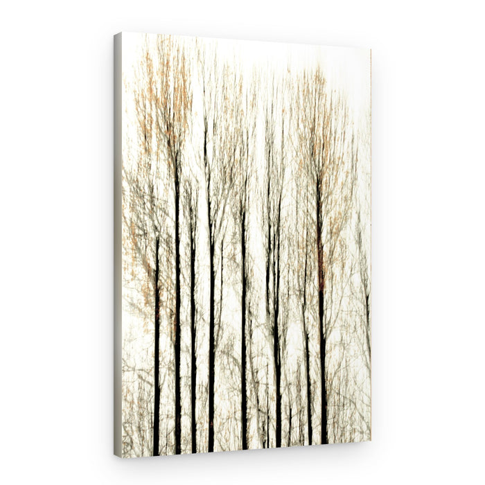 Blurred Forest Lines – Canvas Print
