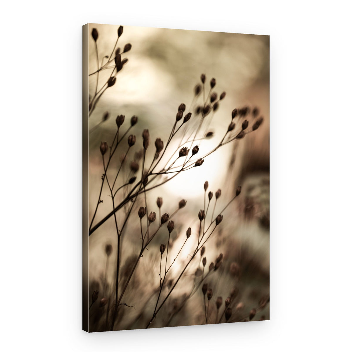 Autumn Lights – Canvas Print