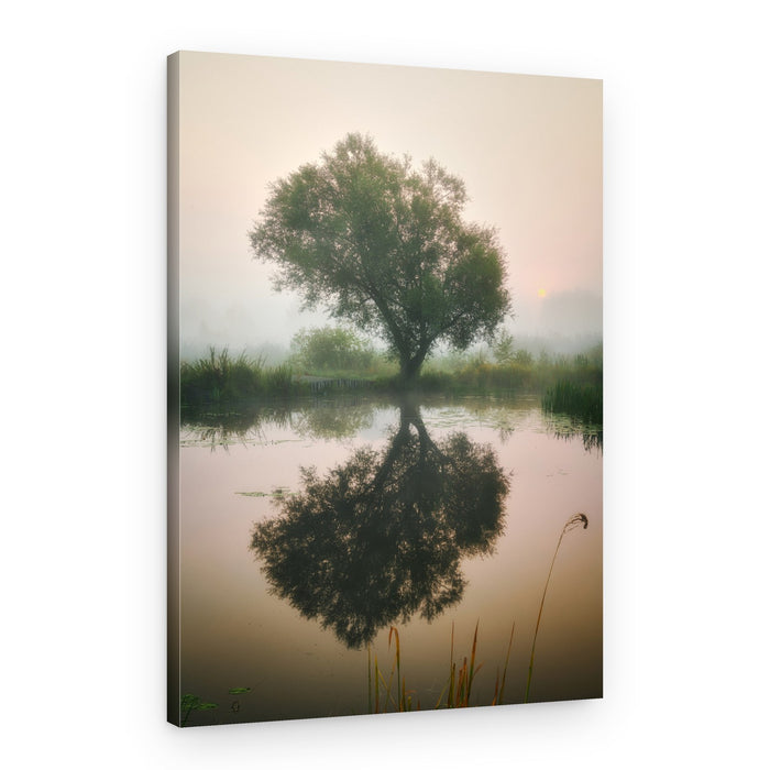 Misty Morning Tree Reflection – Canvas Print