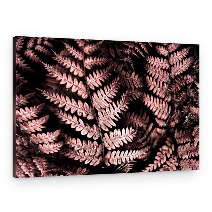 Moody Pink Ferns – Canvas Print
