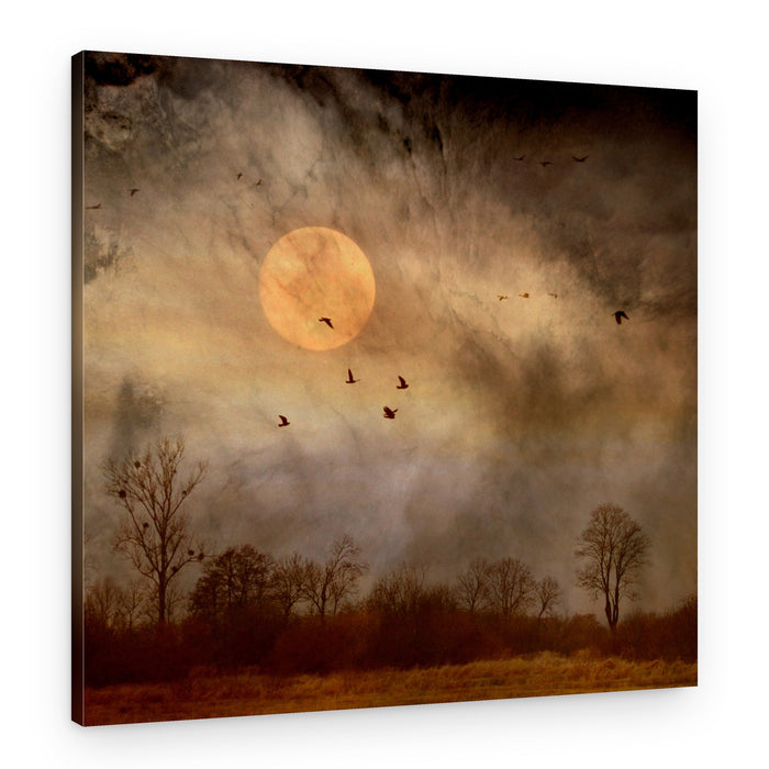 Twilight Moon Flight – Canvas Print