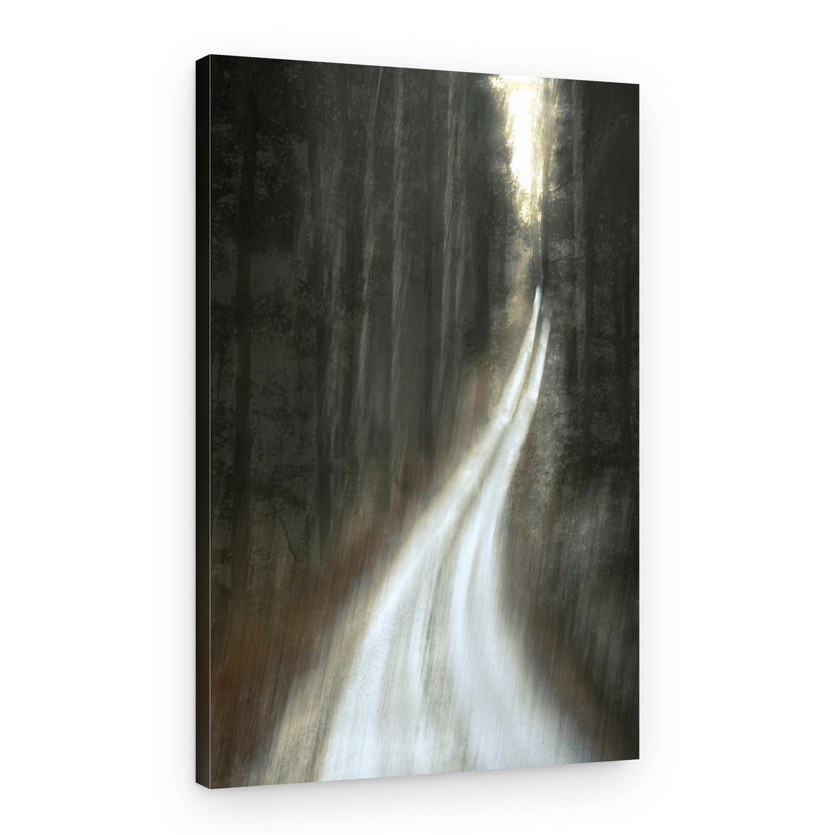 Luminous Forest Path – Canvas Print
