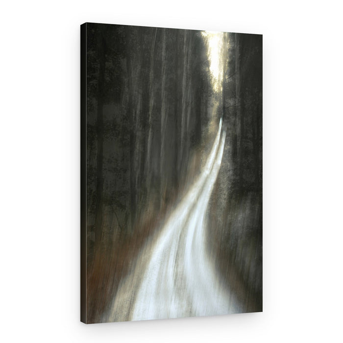 Luminous Forest Path – Canvas Print